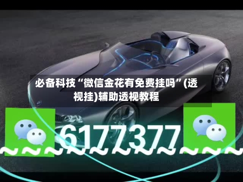 必备科技“微信金花有免费挂吗”(透视挂)辅助透视教程-第2张图片