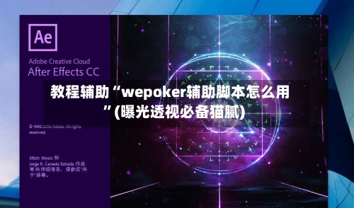 教程辅助“wepoker辅助脚本怎么用”(曝光透视必备猫腻)-第2张图片