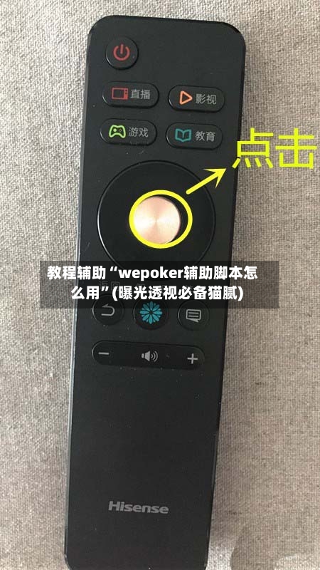 教程辅助“wepoker辅助脚本怎么用	”(曝光透视必备猫腻)-第3张图片