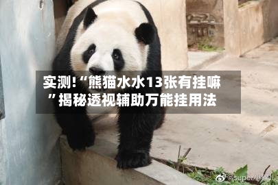 实测!“熊猫水水13张有挂嘛”揭秘透视辅助万能挂用法-第2张图片