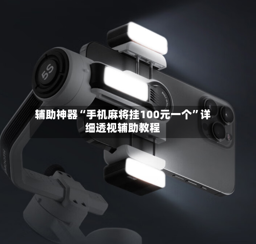 辅助神器“手机麻将挂100元一个”详细透视辅助教程-第1张图片