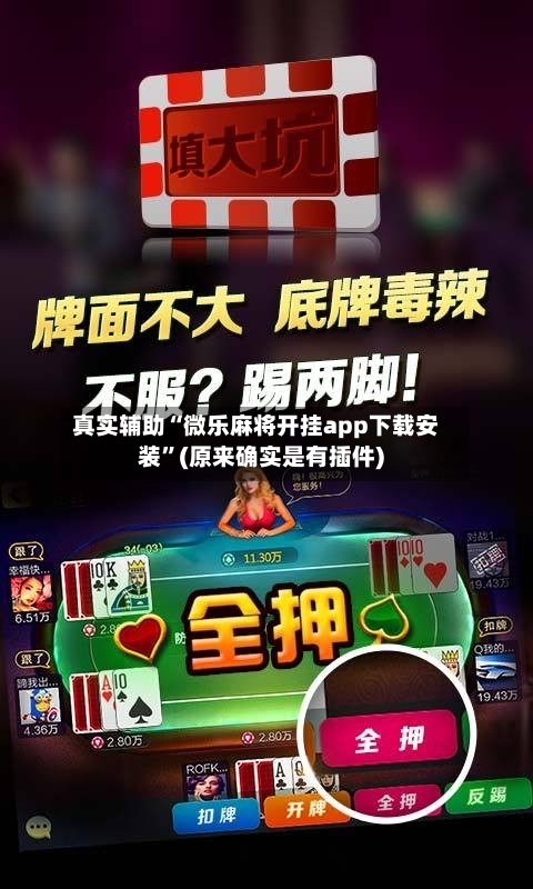 真实辅助“微乐麻将开挂app下载安装”(原来确实是有插件)-第2张图片