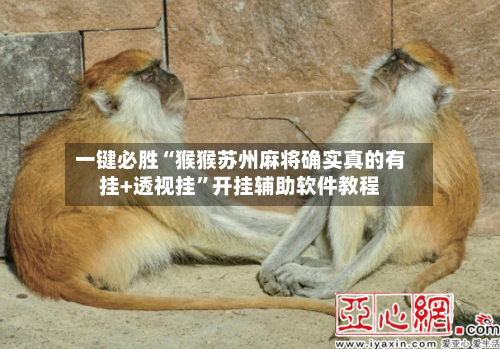 一键必胜“猴猴苏州麻将确实真的有挂+透视挂	”开挂辅助软件教程-第1张图片