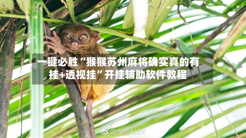 一键必胜“猴猴苏州麻将确实真的有挂+透视挂”开挂辅助软件教程-第2张图片