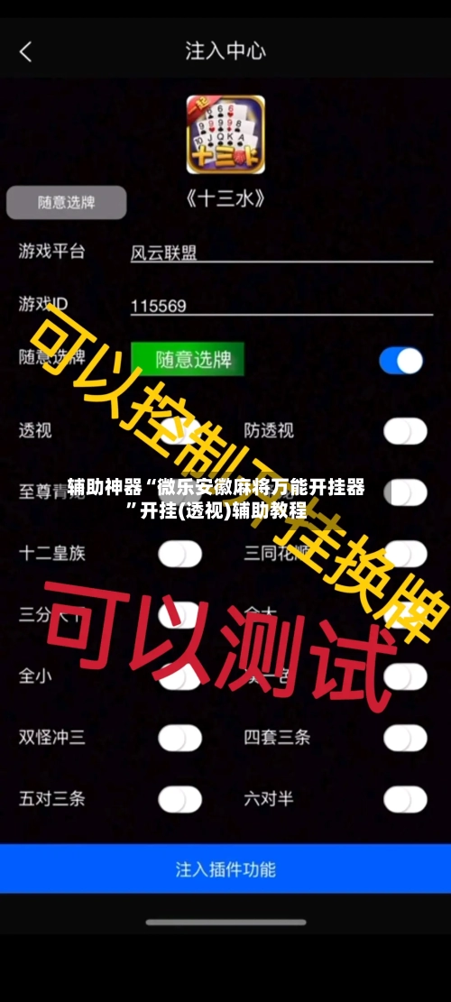 辅助神器“微乐安徽麻将万能开挂器	”开挂(透视)辅助教程-第3张图片