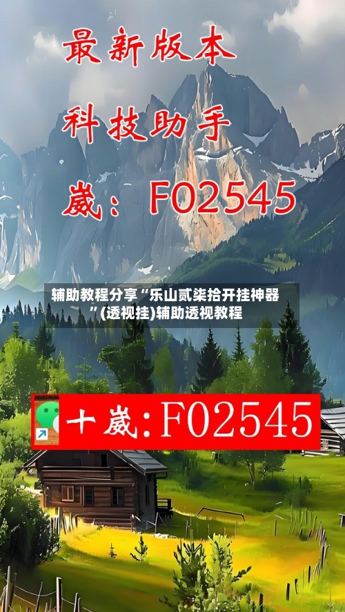 辅助教程分享“乐山贰柒拾开挂神器	”(透视挂)辅助透视教程-第2张图片