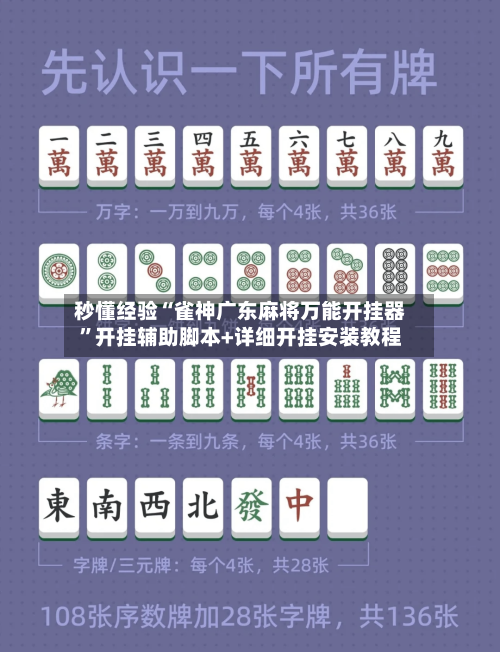 秒懂经验“雀神广东麻将万能开挂器”开挂辅助脚本+详细开挂安装教程-第3张图片