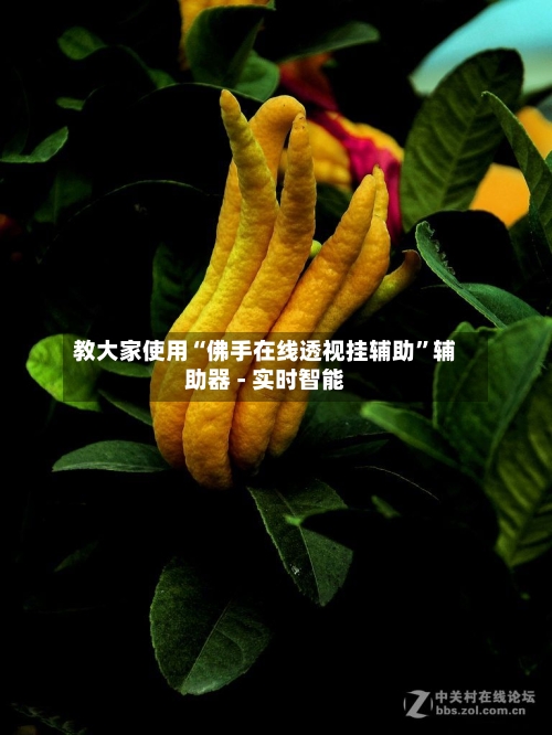 教大家使用“佛手在线透视挂辅助	”辅助器 - 实时智能-第1张图片