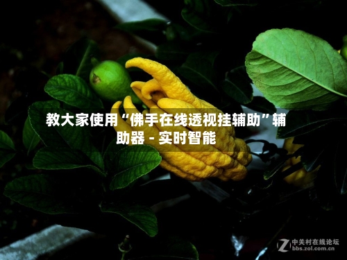 教大家使用“佛手在线透视挂辅助”辅助器 - 实时智能-第2张图片