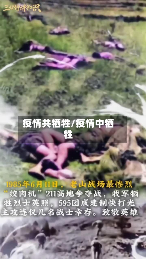 疫情共牺牲/疫情中牺牲-第2张图片