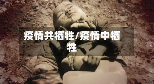 疫情共牺牲/疫情中牺牲-第1张图片