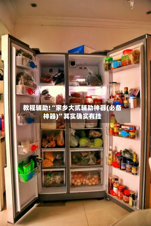 教程辅助!“家乡大贰辅助神器(必备神器)”其实确实有挂-第2张图片