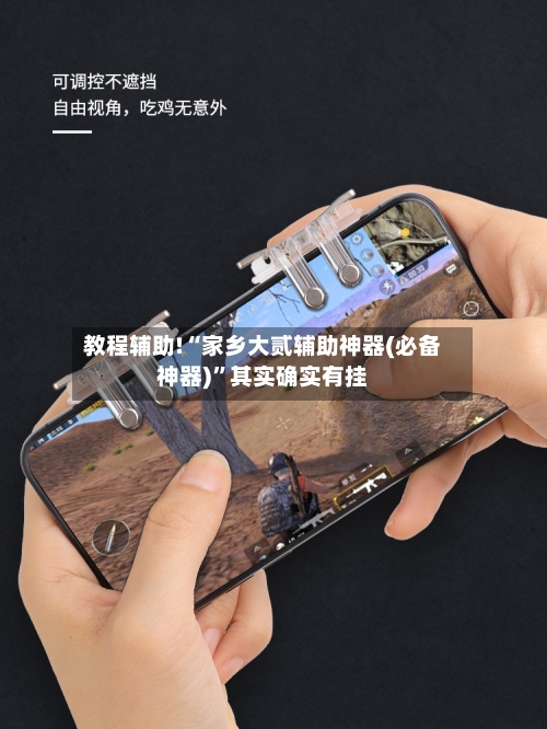 教程辅助!“家乡大贰辅助神器(必备神器)	”其实确实有挂-第3张图片