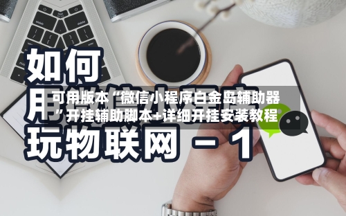 可用版本“微信小程序白金岛辅助器	”开挂辅助脚本+详细开挂安装教程-第2张图片