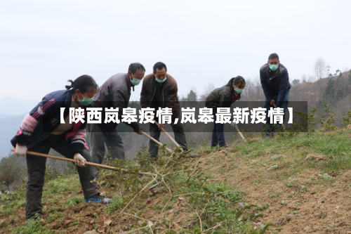 【陕西岚皋疫情,岚皋最新疫情】-第3张图片