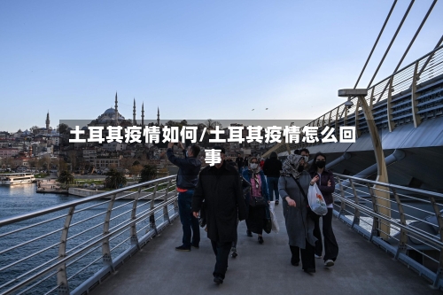 土耳其疫情如何/土耳其疫情怎么回事-第3张图片