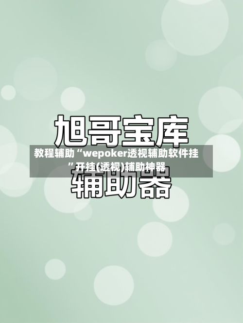 教程辅助“wepoker透视辅助软件挂”开挂(透视)辅助神器-第1张图片