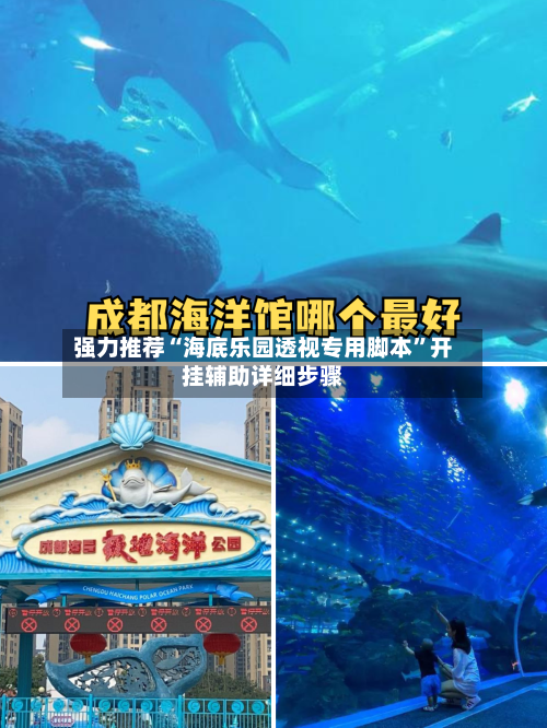 强力推荐“海底乐园透视专用脚本”开挂辅助详细步骤-第1张图片