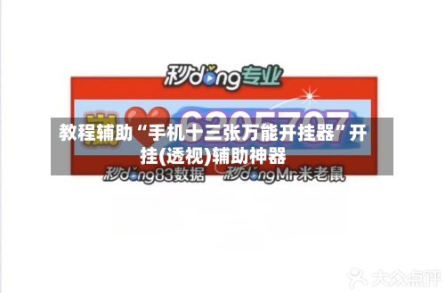 教程辅助“手机十三张万能开挂器”开挂(透视)辅助神器-第2张图片