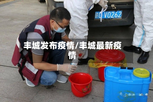 丰城发布疫情/丰城最新疫情-第2张图片
