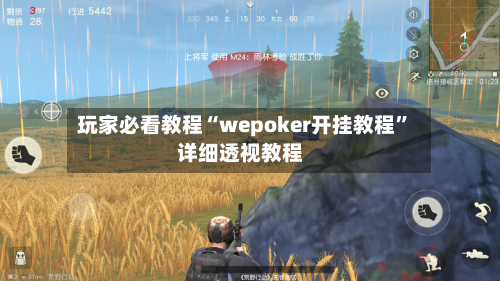 玩家必看教程“wepoker开挂教程”详细透视教程-第1张图片