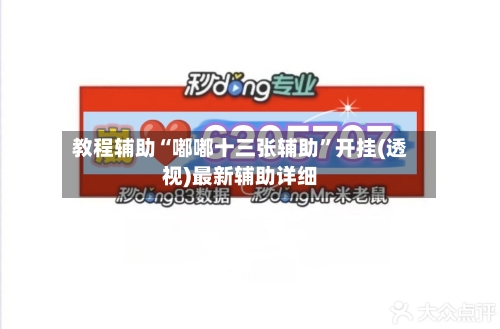 教程辅助“嘟嘟十三张辅助”开挂(透视)最新辅助详细-第1张图片