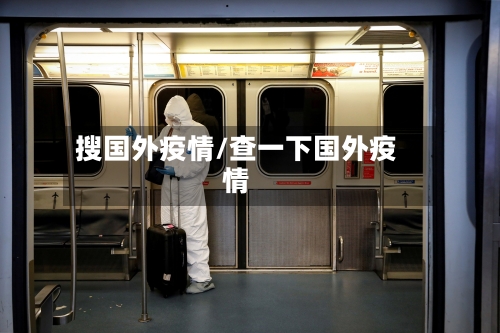 搜国外疫情/查一下国外疫情-第1张图片
