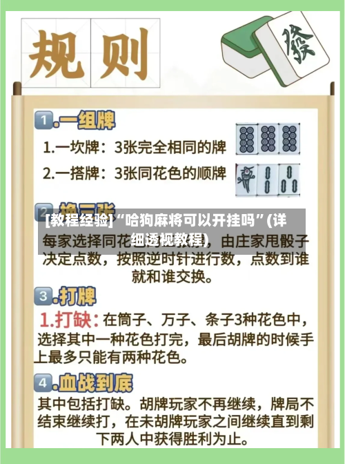 [教程经验]“哈狗麻将可以开挂吗”(详细透视教程)-第1张图片