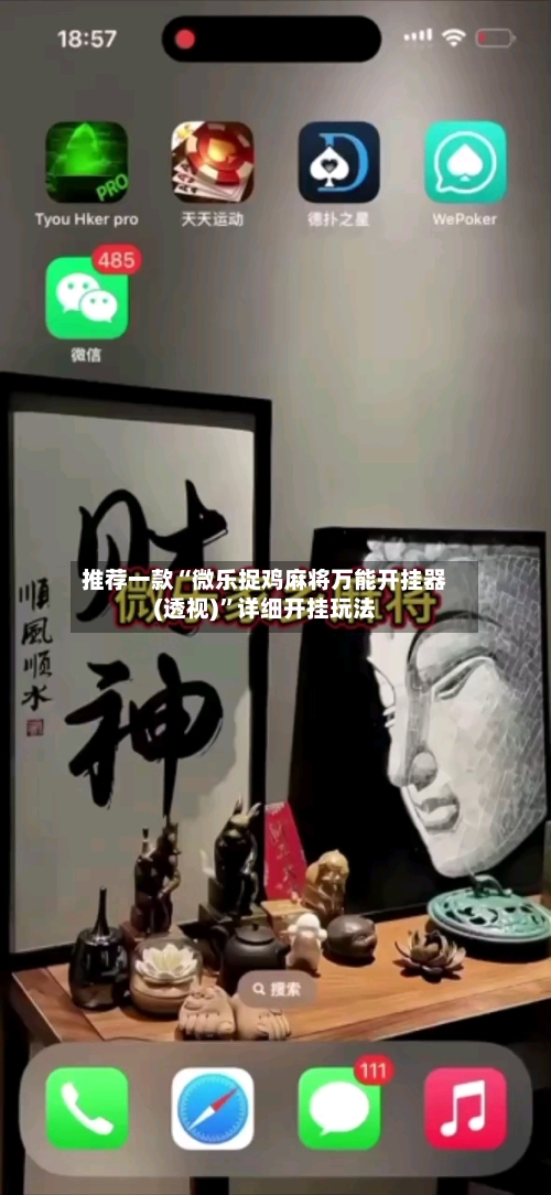 推荐一款“微乐捉鸡麻将万能开挂器(透视)”详细开挂玩法-第1张图片