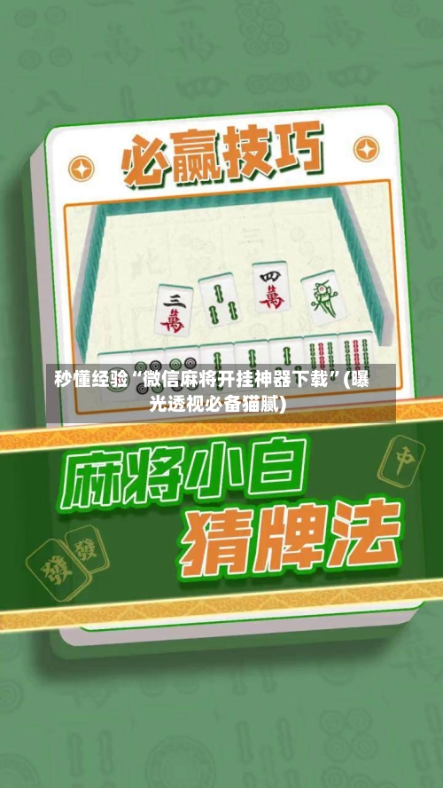 秒懂经验“微信麻将开挂神器下载”(曝光透视必备猫腻)-第1张图片