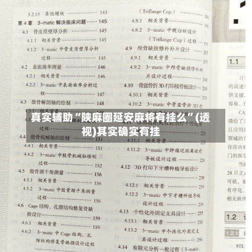 真实辅助“陕麻圈延安麻将有挂么”(透视)其实确实有挂-第3张图片