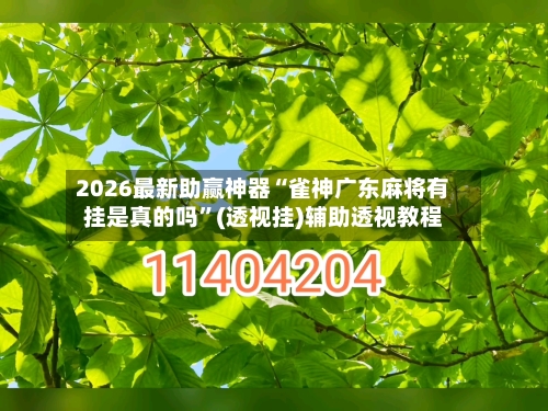 2026最新助赢神器“雀神广东麻将有挂是真的吗”(透视挂)辅助透视教程-第2张图片