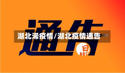 湖北浠疫情/湖北疫情通告-第2张图片