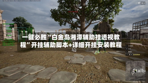 一键必胜“白金岛湘潭辅助挂透视教程”开挂辅助脚本+详细开挂安装教程-第1张图片
