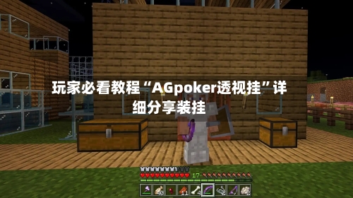 玩家必看教程“AGpoker透视挂	”详细分享装挂-第2张图片