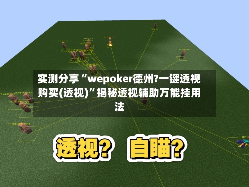 实测分享“wepoker德州?一键透视购买(透视)	”揭秘透视辅助万能挂用法-第2张图片