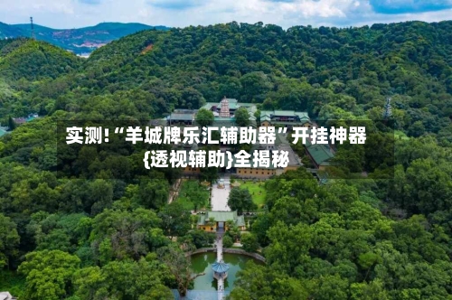 实测!“羊城牌乐汇辅助器”开挂神器{透视辅助}全揭秘-第3张图片