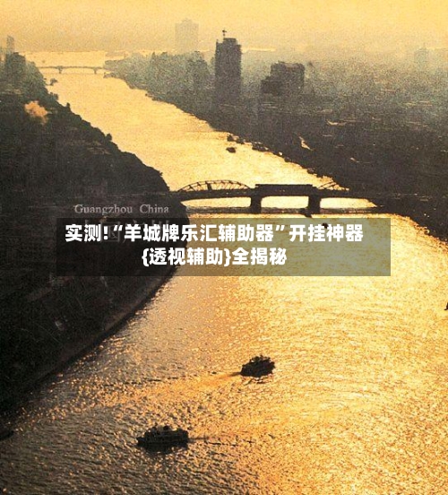 实测!“羊城牌乐汇辅助器”开挂神器{透视辅助}全揭秘-第1张图片