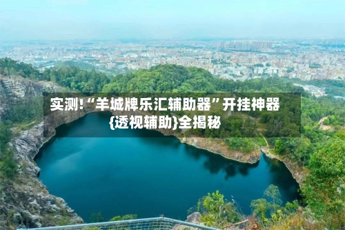 实测!“羊城牌乐汇辅助器	”开挂神器{透视辅助}全揭秘-第2张图片