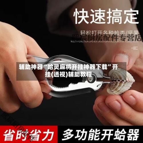 辅助神器“哈灵麻将开挂神器下载”开挂(透视)辅助教程-第2张图片