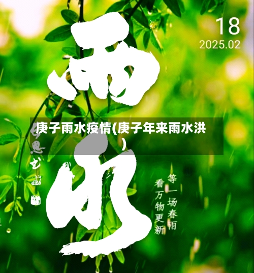 庚子雨水疫情(庚子年来雨水洪)-第1张图片