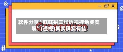 软件分享“旺旺拼三张透视挂免费安装”(透视)其实确实有挂-第2张图片
