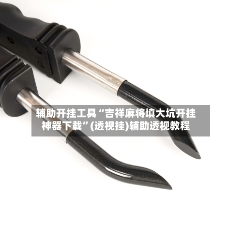 辅助开挂工具“吉祥麻将填大坑开挂神器下载”(透视挂)辅助透视教程-第3张图片