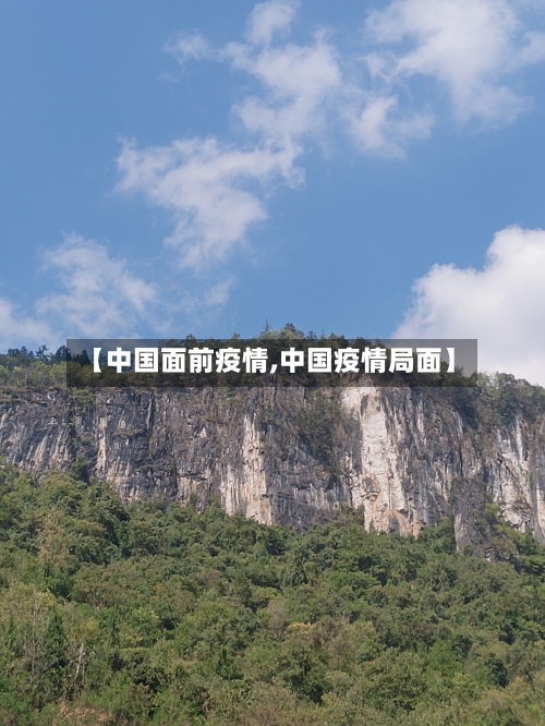 【中国面前疫情,中国疫情局面】-第3张图片