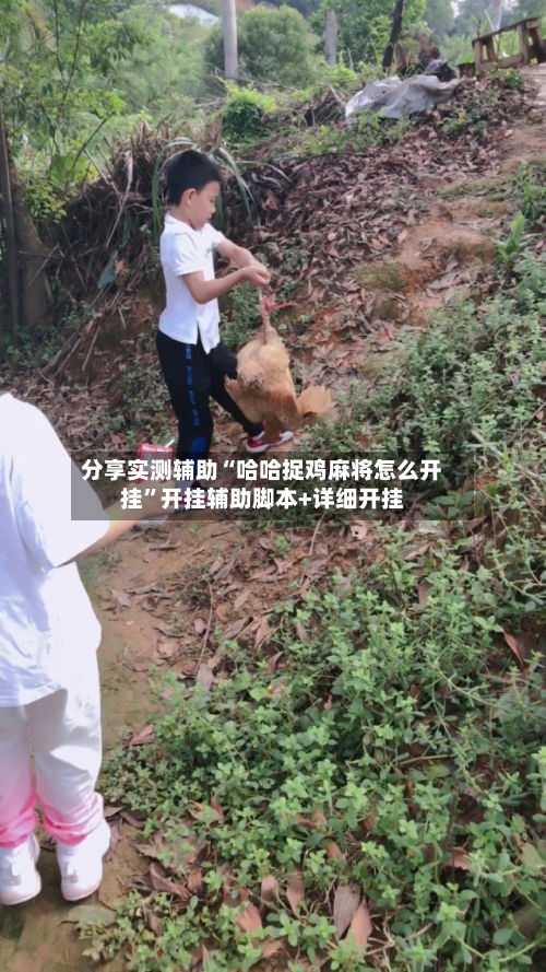 分享实测辅助“哈哈捉鸡麻将怎么开挂”开挂辅助脚本+详细开挂-第1张图片