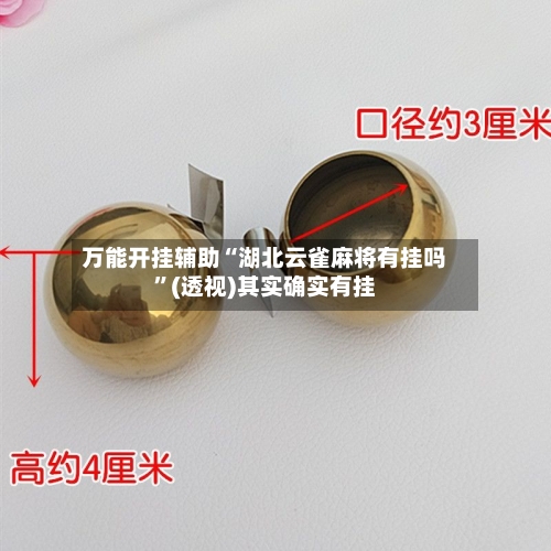 万能开挂辅助“湖北云雀麻将有挂吗”(透视)其实确实有挂-第2张图片