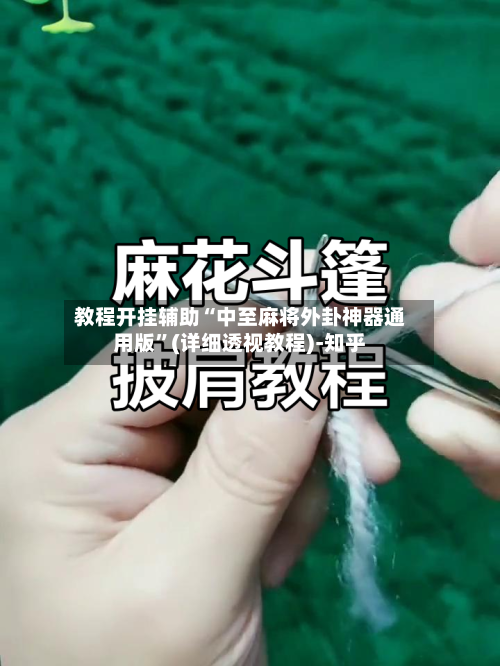 教程开挂辅助“中至麻将外卦神器通用版”(详细透视教程)-知乎-第2张图片