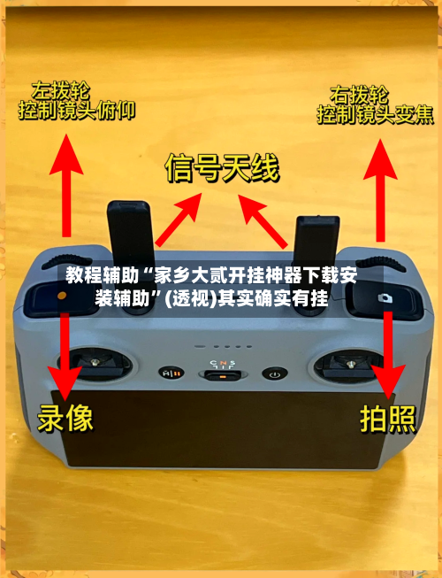 教程辅助“家乡大贰开挂神器下载安装辅助”(透视)其实确实有挂-第2张图片