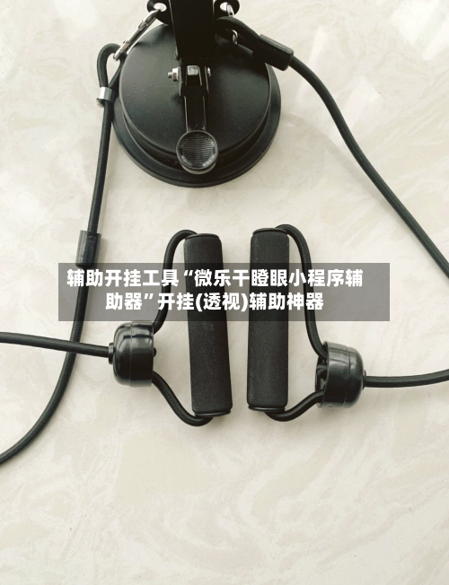 辅助开挂工具“微乐干瞪眼小程序辅助器	”开挂(透视)辅助神器-第2张图片