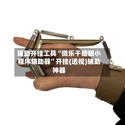 辅助开挂工具“微乐干瞪眼小程序辅助器”开挂(透视)辅助神器-第3张图片